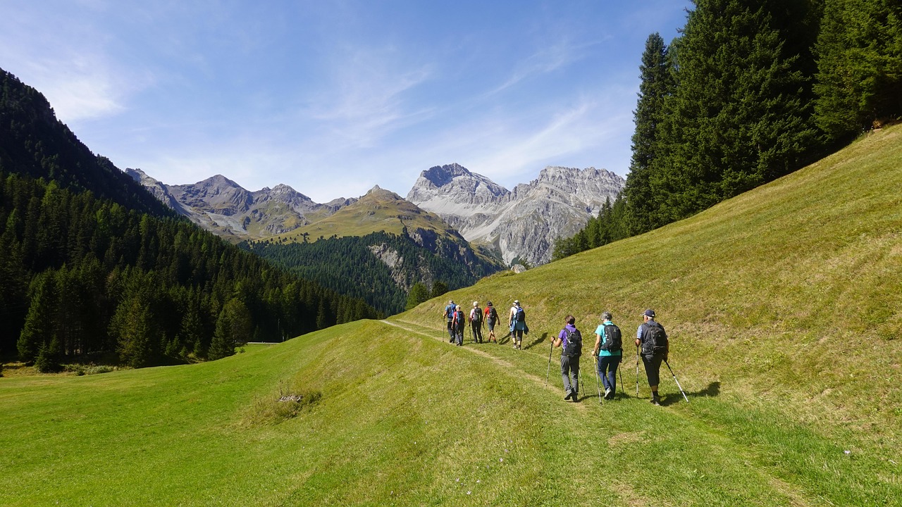 hiking group, hiking, mountain, meadow, mountain panorama, forest, trail, trekking, nature, mountaineering